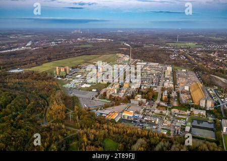 Vista aerea, impianto chimico Bayer AG, azienda farmaceutica per la produzione di principi attivi farmaceutici, impianti industriali, circondato da Foto Stock