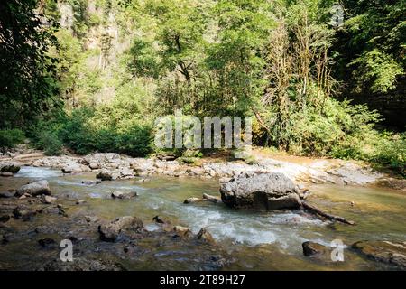 il fiume scorre velocemente nella foresta tra gli alberi verdi e i percorsi escursionistici Foto Stock