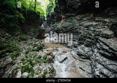 il fiume scorre velocemente nella foresta tra le rocce e i percorsi naturalistici Foto Stock