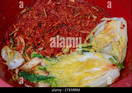 Il processo di preparazione di un piatto tradizionale coreano, il kimchi. Primo piano di un cavolo salato e condimenti per il kimchi Foto Stock