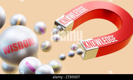 Conoscenza che porta saggezza. Una metafora magnetica in cui la conoscenza attrae più parti della saggezza. Rapporto causa-effetto tra conoscenza e. Foto Stock