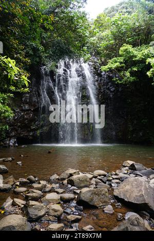 Cascata di Ellinjaa sul circuito delle cascate di Atherton Tablelands, Millaa Millaa, Queensland, Australia Foto Stock