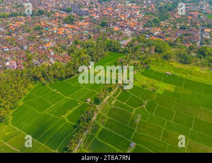 Vista aerea del centro storico di Ubud con templi e molte case con tetto rosso nel centro culturale di Bali, Indonesia Foto Stock
