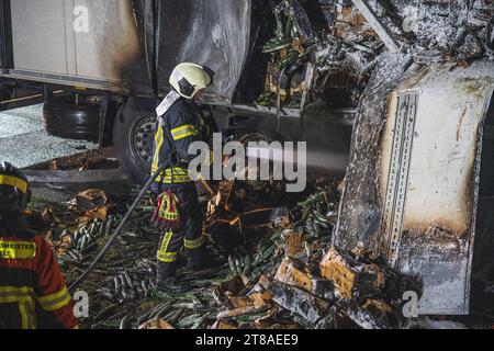 Gurkenlaster brennt auf A9 Zwischen den Anschlussstellen Dittersdorf und Triptis auf der A9 brennt ein LKW. DAS Feuer brach im Bereich der Hinterachse aus und breitete sich schnell auf die Ladung Gurken aus. 19.11.2023 Deutschland *** camion cetriolo in fiamme sulla A9 tra gli incroci Dittersdorf e Triptis sulla A9, un camion è in fiamme l'incendio scoppiò nell'area dell'assale posteriore e si diffuse rapidamente al carico dei cetrioli 19 11 2023 Germania credito: Imago/Alamy Live News Foto Stock