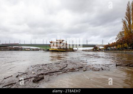 Hochwasser a Bonn. AM 19.11.2023 a Bonn am Rhein. A Bonn steigt Die Hochwassergefahr. Der Rheinpegel soll zum Wochenende noch weiter ansteigen. Bonn Beuel Nordrhein-Westfalen Deutschland *** acque alte a Bonn il 19 11 2023 a Bonn sul Reno il rischio di inondazioni è in aumento a Bonn il livello del Reno dovrebbe aumentare ulteriormente nel fine settimana Bonn Beuel Renania settentrionale-Vestfalia Germania credito: Imago/Alamy Live News Foto Stock