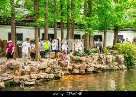 Shanghai Cina 11 giugno 2023: I turisti stanno dando da mangiare a Koi nel giardino Yu. E' un esteso giardino Cinese situato accanto al Tempio del Dio della Citta' Foto Stock