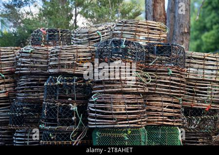 vasi cray di gamberi impilati in tasmania australia Foto Stock
