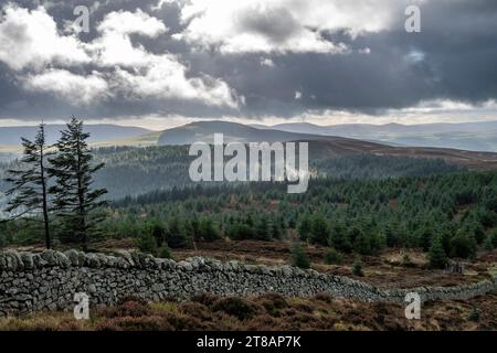 La vista da Moel Famau e' una delle colline piu' alte della catena Clwydian. Galles del Nord gli impressionanti resti della Jubilee Tower si trovano al su Foto Stock