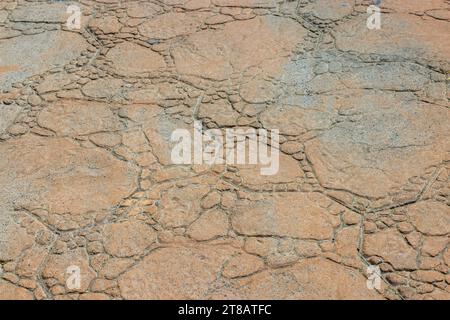 Vista ravvicinata della struttura del sentiero pedonale nel parco di Gran Canaria. Spagna. Foto Stock