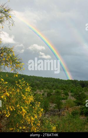 arcobaleno sul Parco dell'Etna, uno dei simboli del logo del Parco dell'Etna, Sicilia (1) Foto Stock