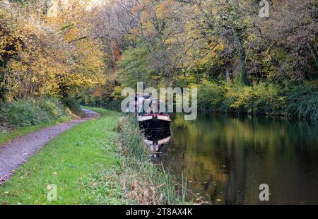 Barca stretta ormeggiata in autunno sul canale Kennet e Avon, Monkton Combe, Somerset, Inghilterra, Regno Unito Foto Stock