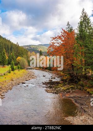 paesaggio montuoso in autunno. piccolo fiume che scorre attraverso la valle. paesaggio di campagna colorato tra colline boscose. tempo nuvoloso Foto Stock