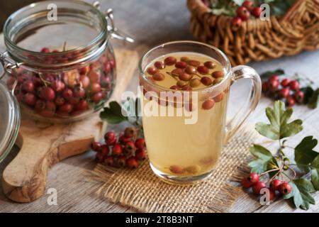 Tè alle erbe con bacche di biancospino fresche in autunno Foto Stock