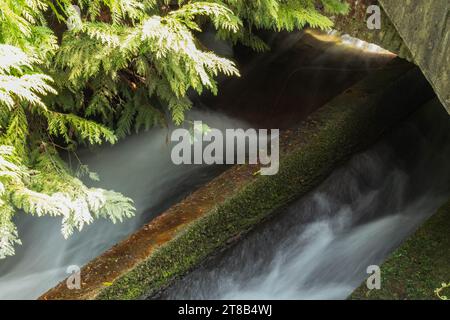 il flusso scorre attraverso le case e il parco. L'acqua scorre rapidamente Foto Stock