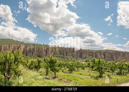 Frutteto di pesche con Les Pénitents des Mées come sfondo Foto Stock