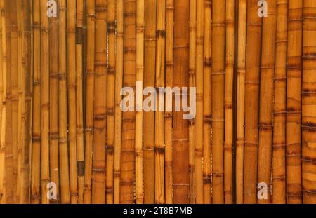 Sfondo marrone della texture di bambù proveniente da cannucce di bambù naturale. La scherma orientale asiatica ha un bel motivo giallo, struttura recinzione di giorno Foto Stock