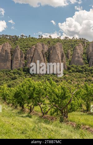 Frutteto di pesche con Les Pénitents des Mées come sfondo Foto Stock