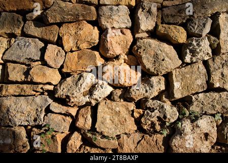 un mur de pierres seches dans les garrigues et les collines de provence éclairées par un soleil couchant d'automne / un muro di pietra a secco nei garrigues Foto Stock