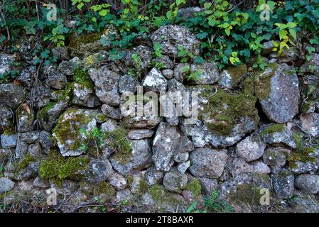 un mur de pierres seches dans les garrigues et les collines de provence éclairées par un soleil couchant d'automne / un muro di pietra a secco nei garrigues Foto Stock