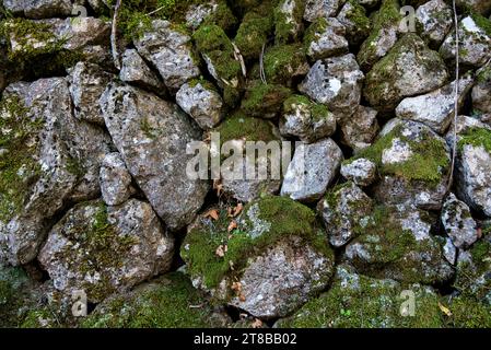 un mur de pierres seches dans les garrigues et les collines de provence éclairées par un soleil couchant d'automne / un muro di pietra a secco nei garrigues Foto Stock