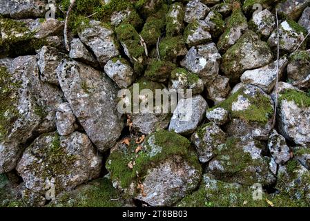 un mur de pierres seches dans les garrigues et les collines de provence éclairées par un soleil couchant d'automne / un muro di pietra a secco nei garrigues Foto Stock