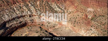 Panorama del Sulfur Creek che si snoda attraverso il canyon sotto i Goosenecks e si affaccia sul Capitol Reef National Park nello Utah, Stati Uniti Foto Stock