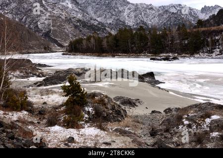 Un giovane pino su una sponda sabbiosa di un fiume con una fitta foresta di conifere che scorre attraverso una valle invernale circondata da montagne innevate. Foto Stock