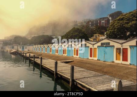 Il punto di sosta della barca è presso Clyde Quay Marina, Wellington, nuova Zelanda, con il tempo nebbia Foto Stock