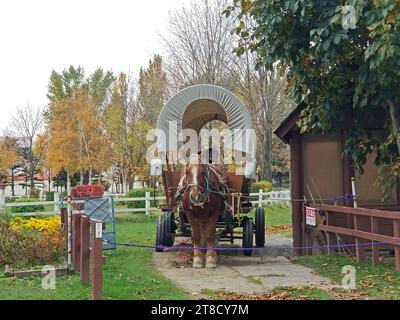 Cavallo addomesticato che tira un carro coperto come attrazione turistica a Sapporo, Giappone -02 Foto Stock