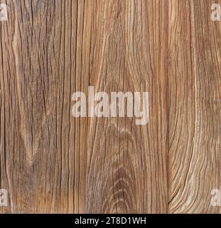 Venatura di legno di un pannello di olmo utilizzato nella costruzione Foto Stock