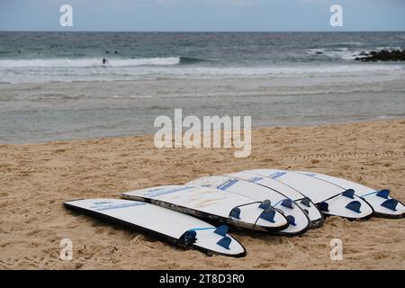 Tavole da surf appartenenti a una scuola di surf si trovano sulla sabbia a Manly Beach Sydney. Foto Stock