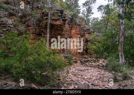 Alligator Gorge nel Mount Remarkable National Park, Australia meridionale Foto Stock