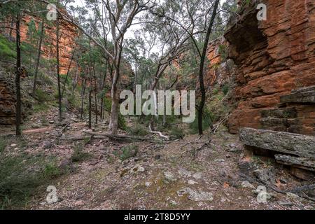 Alligator Gorge nel Mount Remarkable National Park, Australia meridionale Foto Stock