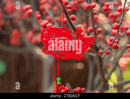 Lucky knot appeso sul fiore per il nuovo anno cinese Saluto,carattere cinese significa buona benedizione per il nuovo anno Foto Stock