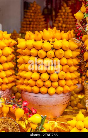 Pianta ornamentale solanum mammosum che rappresenta simboli fortunati in cinese Foto Stock