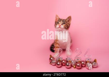 Piccolo gattino tricolore su sfondo rosa accanto ai numeri trasparenti 2024 Capodanno. Sfondo isolato con palline di giocattoli di Natale sul pavimento. M Foto Stock