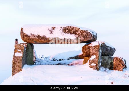 Corvo che siede su una tomba di età della pietra in inverno con neve Foto Stock