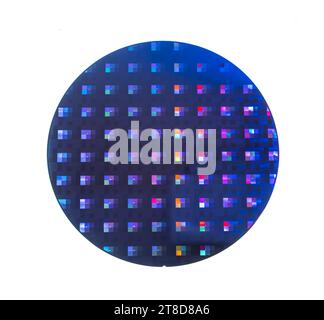 Wafer di silicio con chip isolati su sfondo bianco Foto Stock