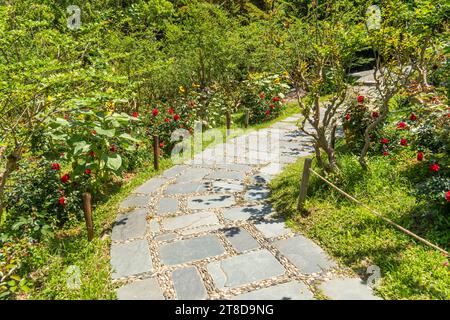 percorso che conduce attraverso un giardino fiorito Foto Stock