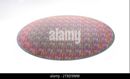 Wafer di silicio con chip isolati su sfondo bianco Foto Stock
