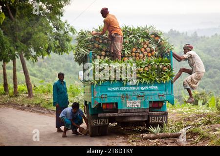 Ananas Truck, Bangladesh Foto Stock