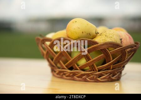 Cestino in vimini con mele sul tavolo. Raccolto in villaggio. Frutta succosa. Foto Stock