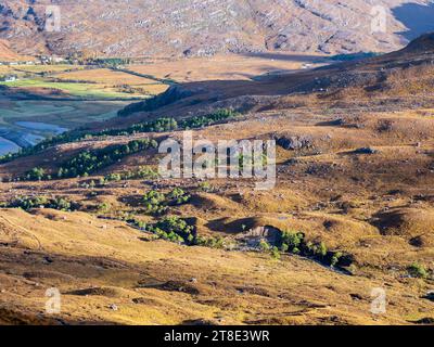 Scots Pine, Pinus sylvestris, resti della foresta di pini caledoniani sulle pendici di Beinn Damh, Torridon, Scozia, Regno Unito guardando verso Liathach. Foto Stock