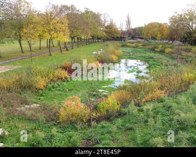 Piano di mitigazione delle inondazioni a Memorial Park, Chingford, Londra, Regno Unito. Un sistema di drenaggio urbano sostenibile (SUDS) per assorbire l'acqua piovana. Foto Stock