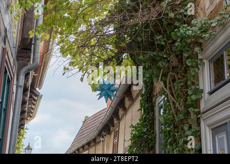 Dettagli delle case in legno a Quedlinburg con piante da arrampicata e stella blu Foto Stock