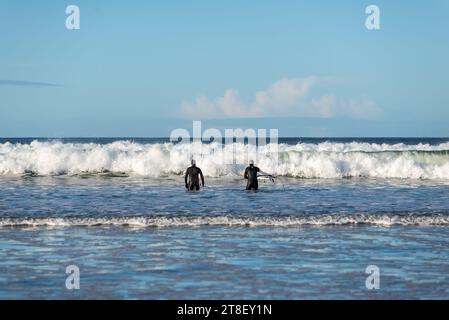 Dannet Beach, Scozia, Regno Unito - 9 novembre 2023: Due surfisti scozzesi entrano in mare per fare surf in una soleggiata mattinata autunnale a Dunnet Beach, Caithness, Scotla Foto Stock