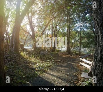 Sun Flare Brickyard Community Park BC Foto Stock