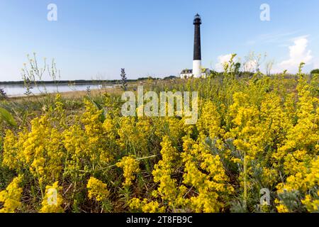 Splendido faro di Sorve e fiori su una piscina di Sõrve, una penisola che forma la sezione più meridionale dell'isola estone di Saaremaa, Estonia Foto Stock