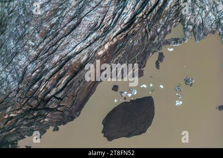 Dall'alto, vista aerea del bordo di un ghiacciaio che scorre nelle acque fangose del mare con iceberg galleggianti nel Parco Nazionale Vatnajokull situato in Islanda Foto Stock