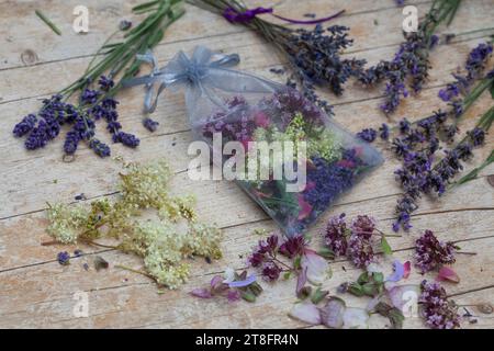 Duftsäckchen: Verschiedene Duftpflanzen werden in ein Gazesäckchen gefüllt: Aroma, Duft, Aromapflanze, Duftpflanze, profumo, aroma. Echter Lavendel, L. Foto Stock